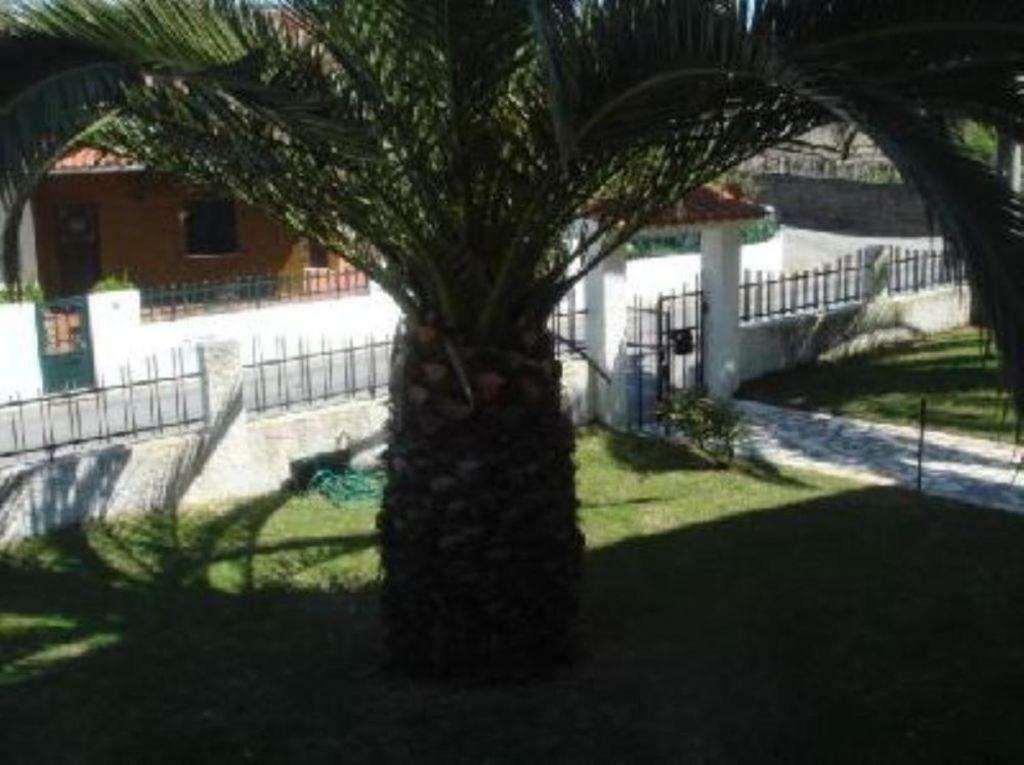Vivenda Atlantico Ξενοδοχείο Vila Praia de Âncora Εξωτερικό φωτογραφία